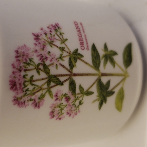 Maxwell & Williams porcelain Fragrant Garden Oregano container jar stor… - Picture 2 of 8